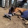 sadie0805